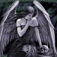 Black-Beauty