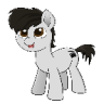 SamQuakBrony